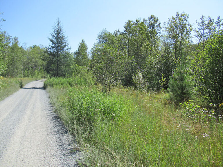 Champion Branch - Republic Township
