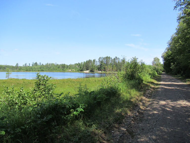 Champion Branch - Humboldt Township