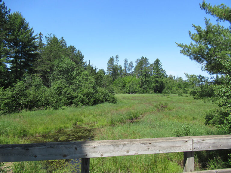 Champion Branch - Humboldt Township