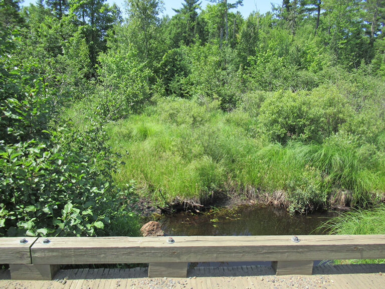 Champion Branch - Humboldt Township