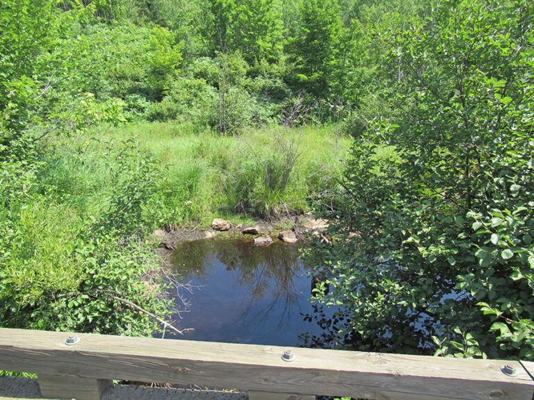 Champion Branch - Humboldt Township