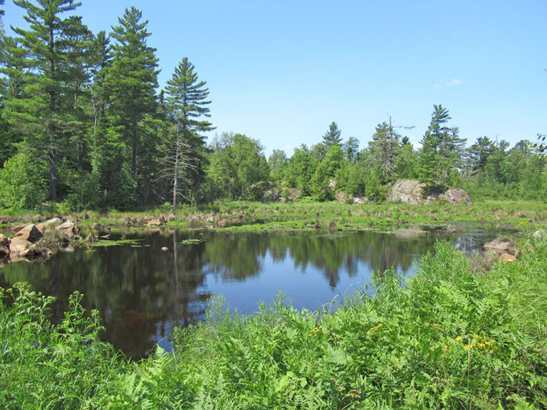 Champion Branch - Humboldt Township