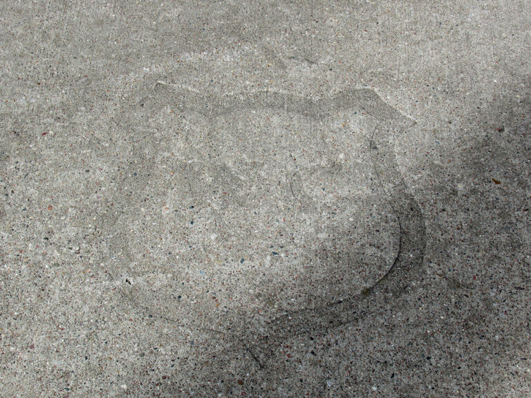 Train Shed Concrete